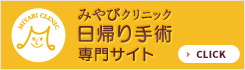 みやびクリニック日帰り手術 専門情報サイト