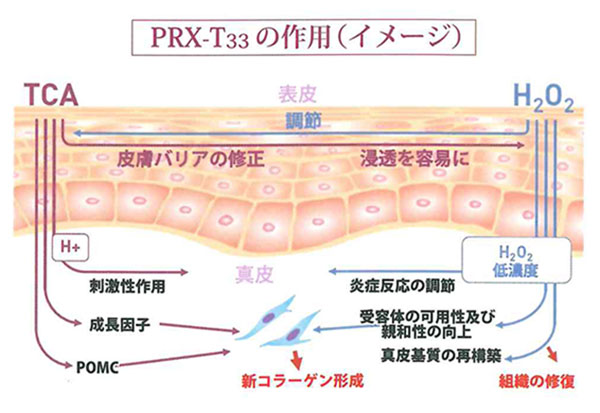 PRX-T33の作用イメージ