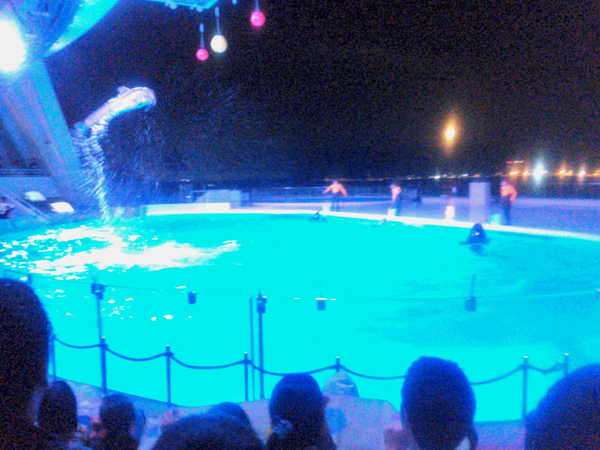 陥没乳頭と乳腺炎のおはなし