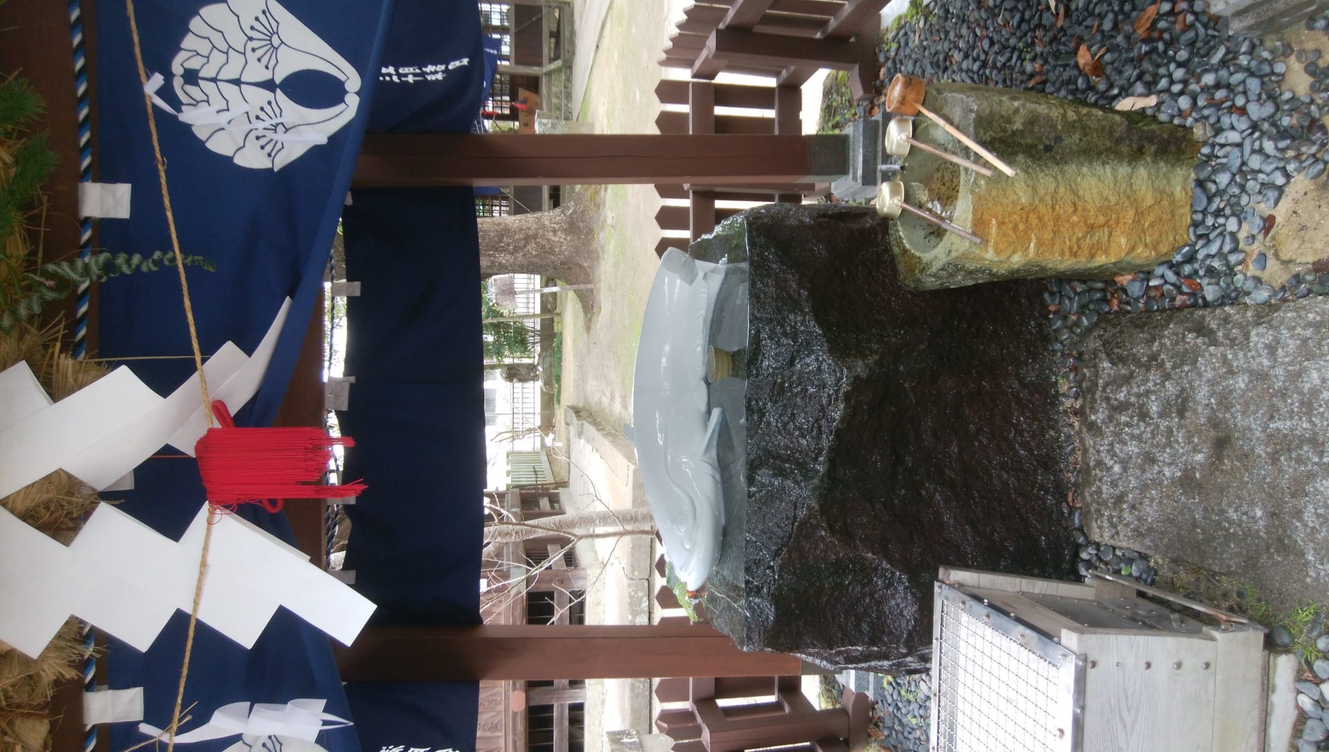 ２０１９年、ご機嫌な一年になりますように！