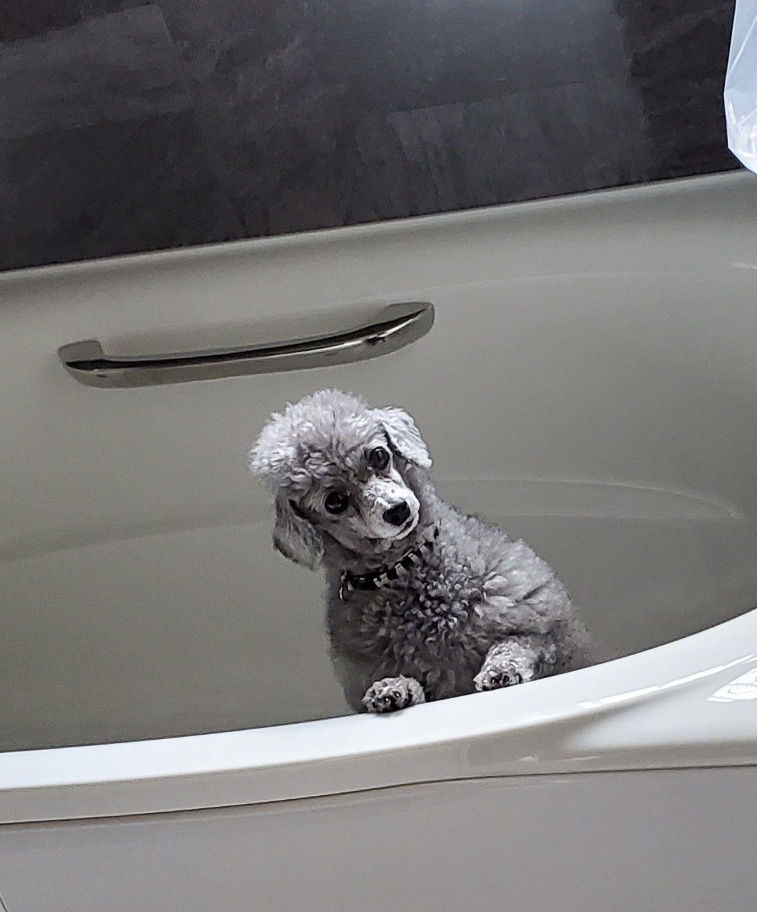 傷痕のお話②傷を少しでも目立ちにくくするには