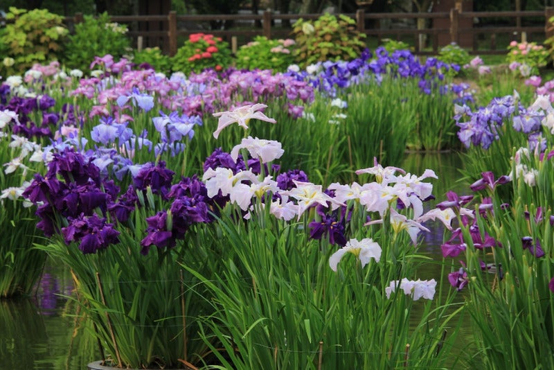 たるみのお話①　～たるみの原因は１つではありません