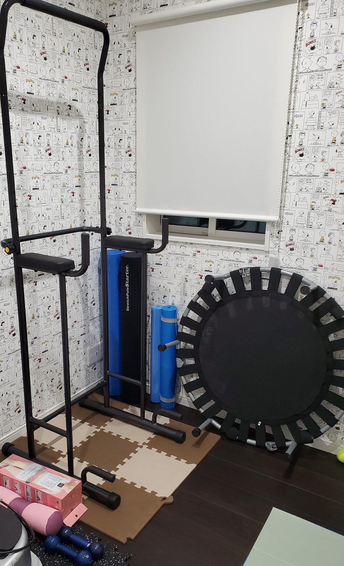 ダイエットと健康　ライザップ体験日記