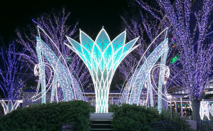 医療HIFU①　ウルトラセルQ+を導入した経緯