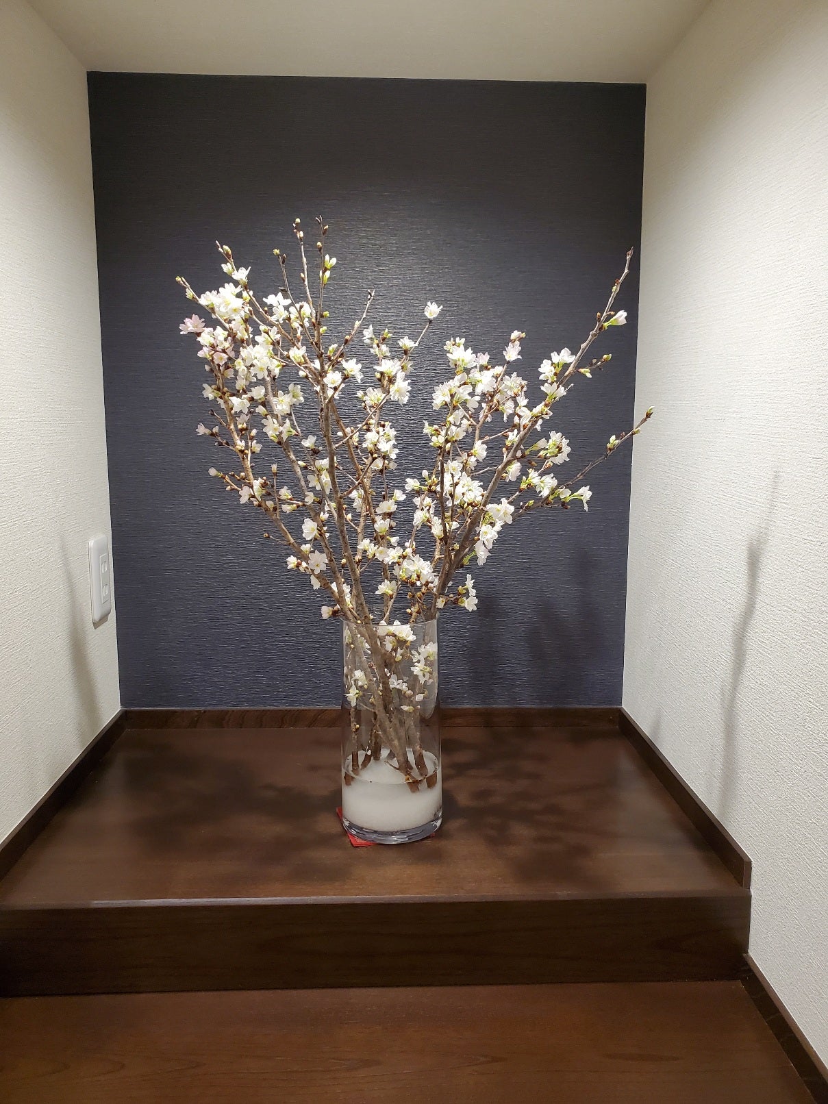 2022年　今年もどうぞよろしくお願い申し上げます