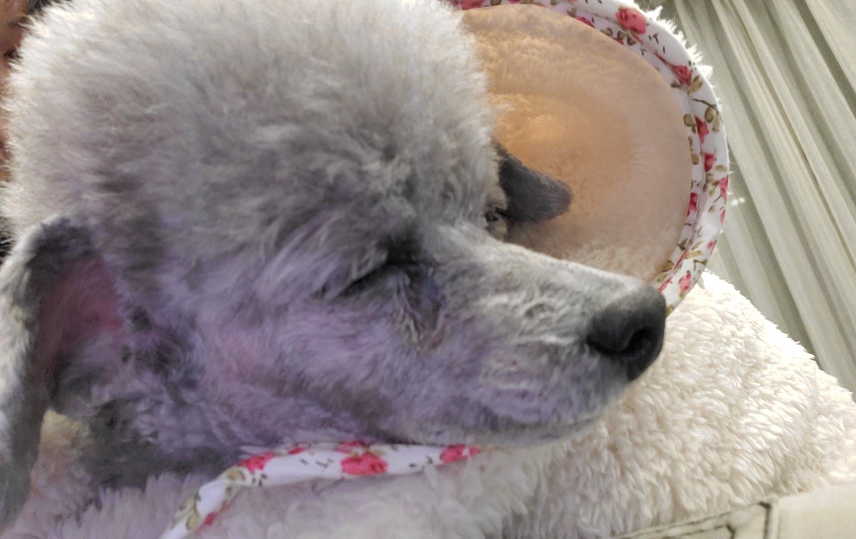 化粧品に含まれるビタミンAについて①