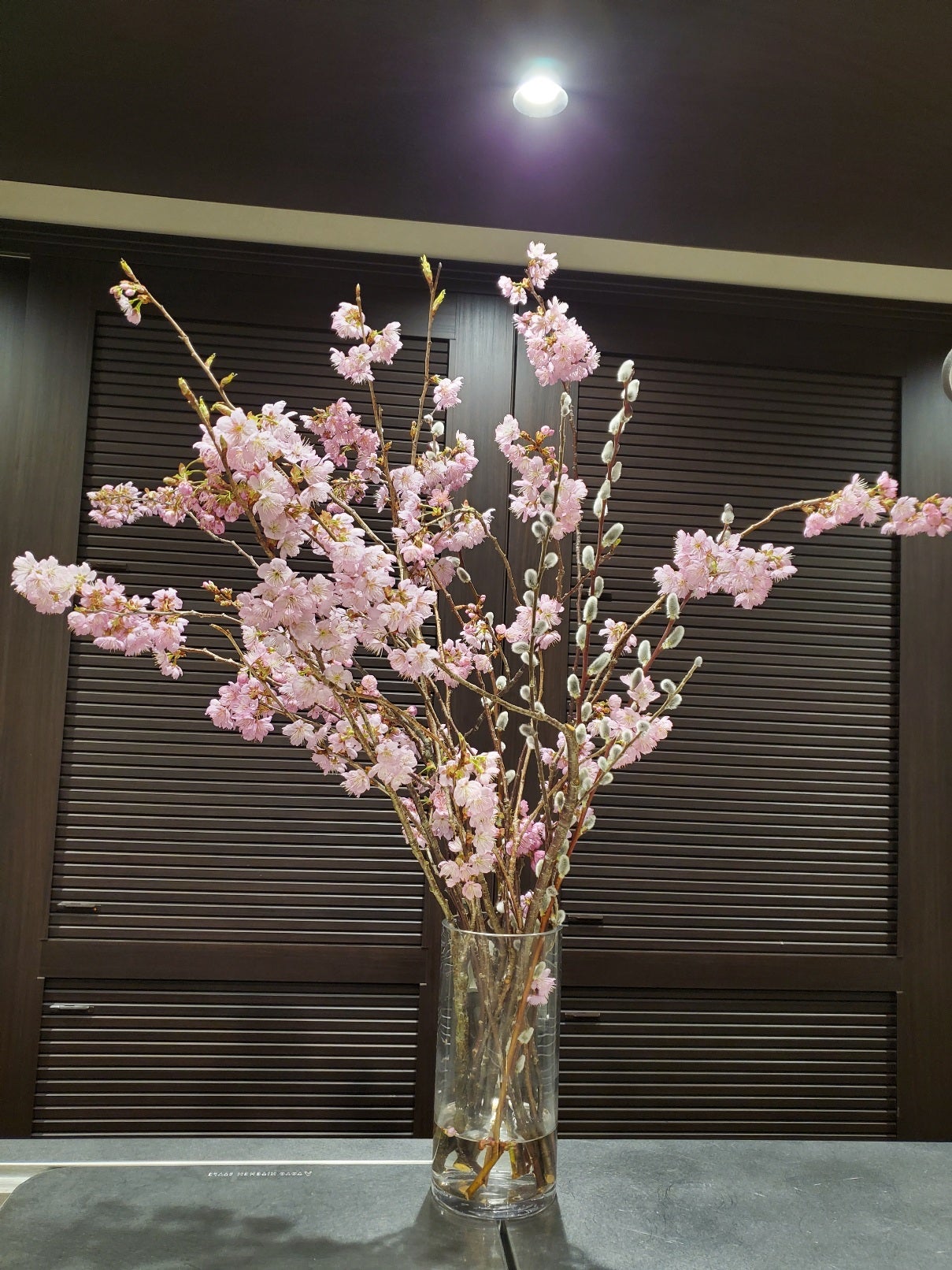 守りのビタミンA 「～酸レチノール」④