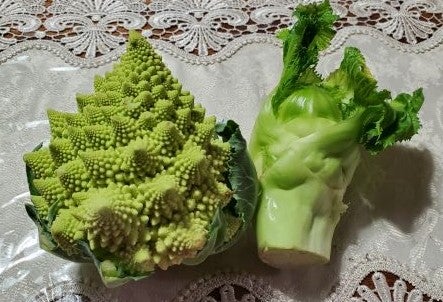 次世代ビタミンA①　グラナクティブレチノイドとレチノイン酸トコフェリル