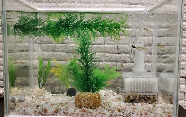 「見た目のアンチエイジング」私が実践していること①