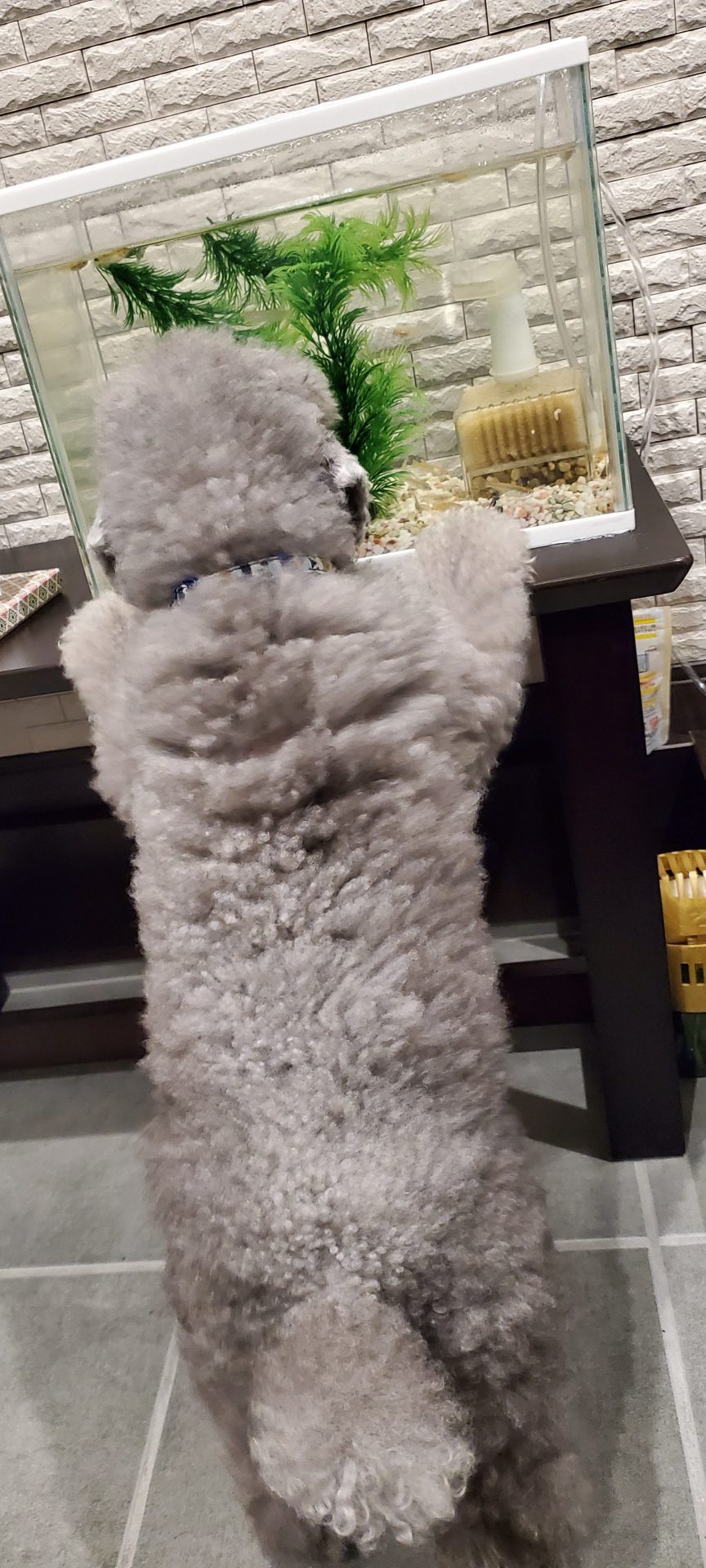 「身体のアンチエイジング」私が実践していること③