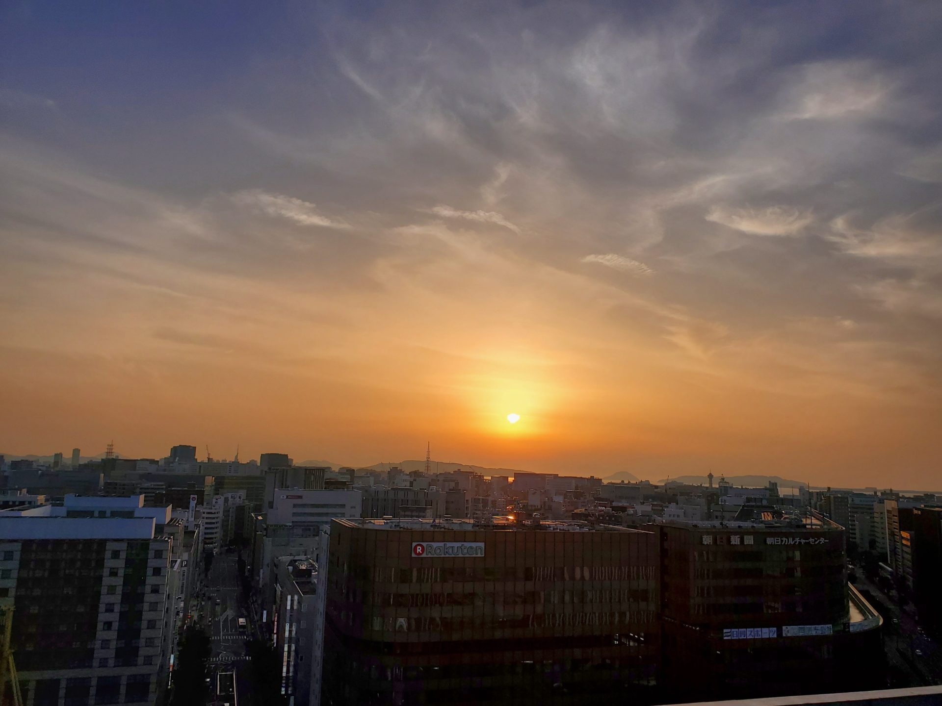 「栄養（食べるもの）⑤」脂溶性ビタミン（特にD)