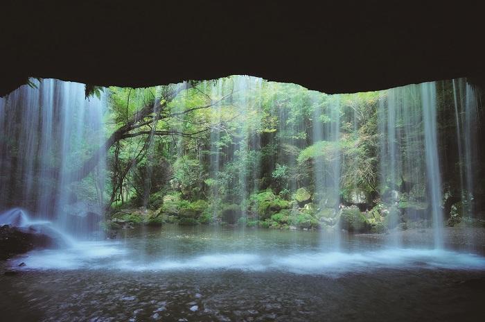 「栄養　食べるもの⑥」　あぶら（油脂）について