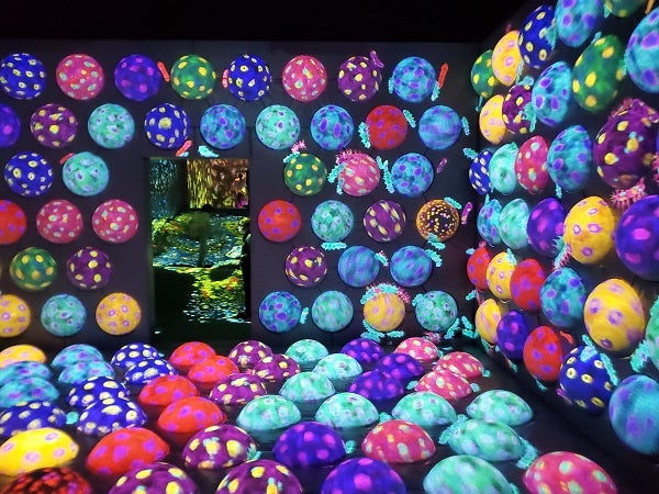 ７年目へ向けて①　形成外科診療で行っていること（１）