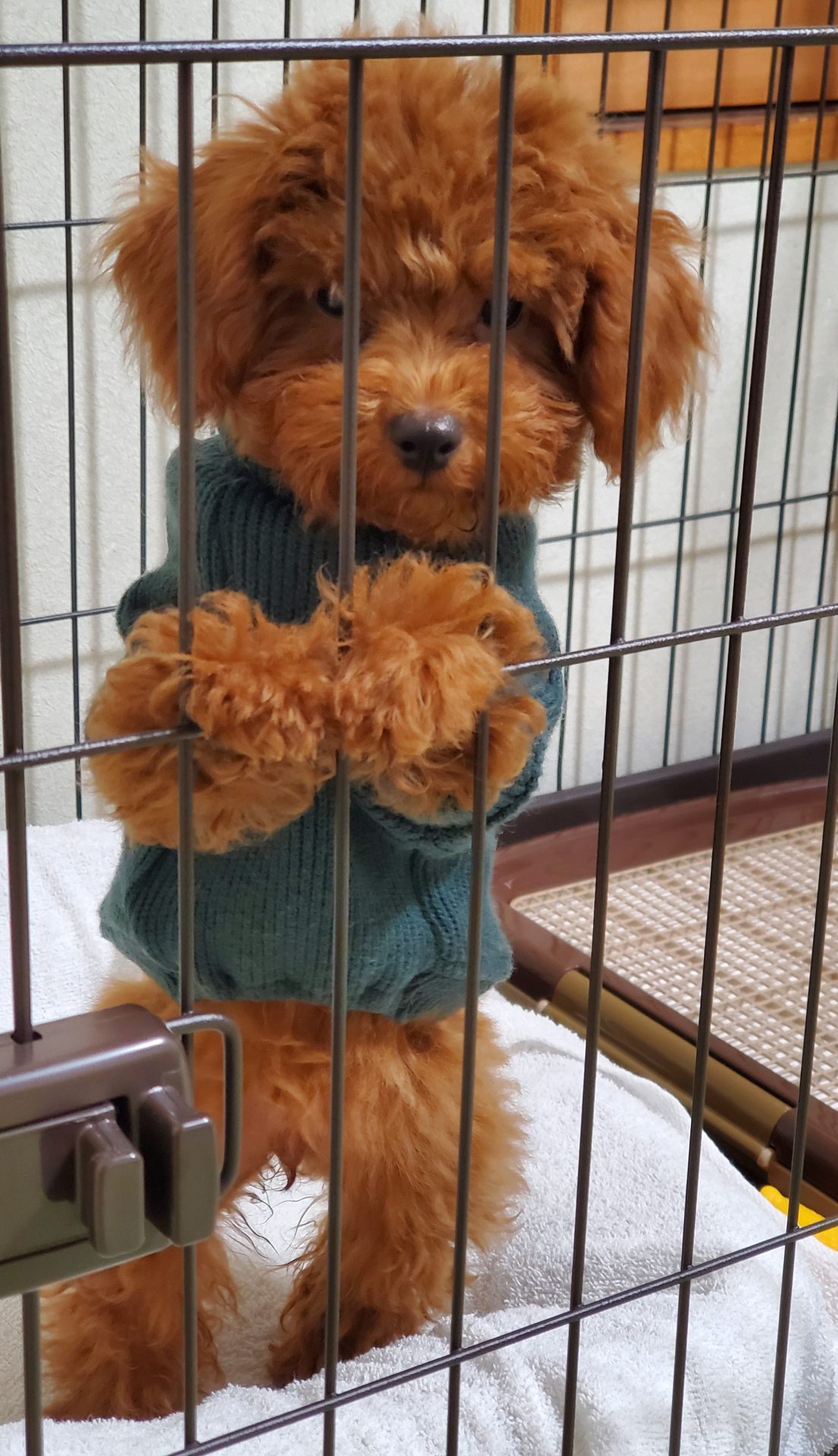 ２０２２年の振り返りと年末のご挨拶