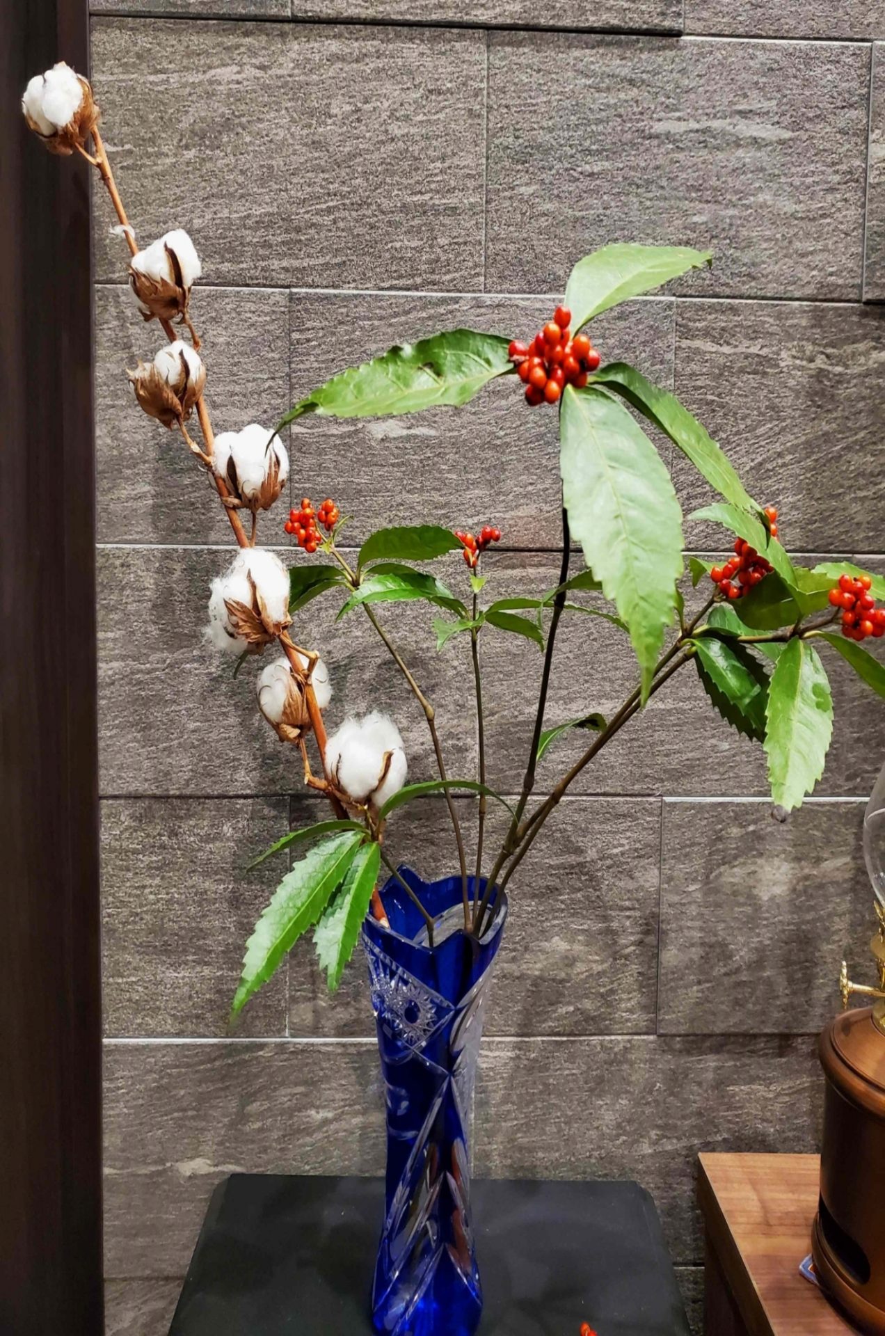 CO2レーザーとエルビウムヤグレーザーの違い①