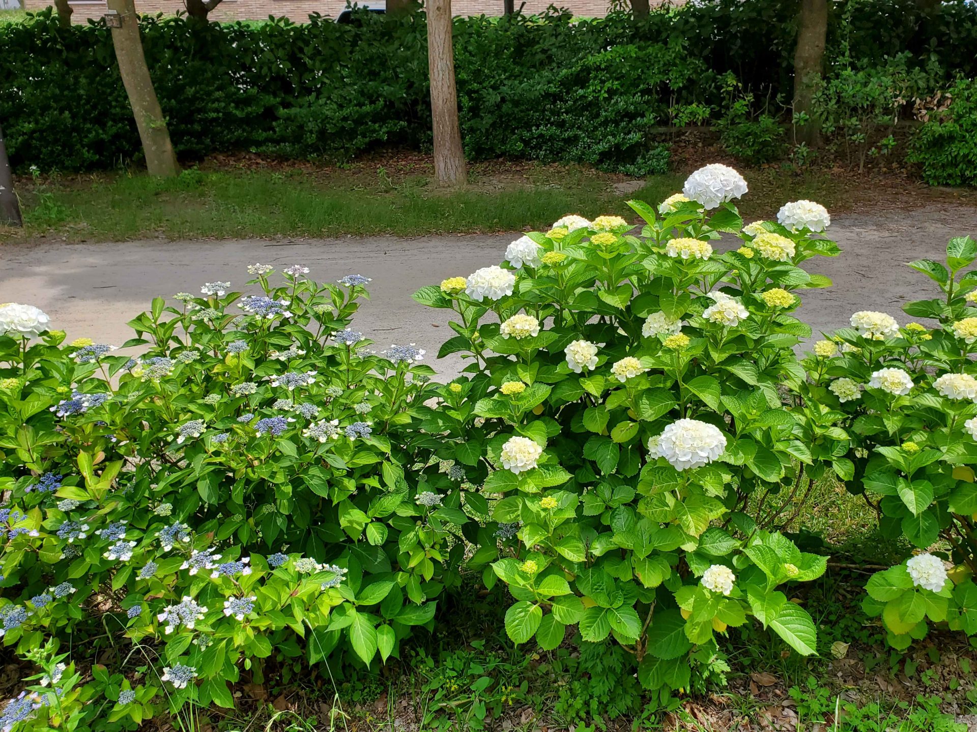 手術と入院経験を経て