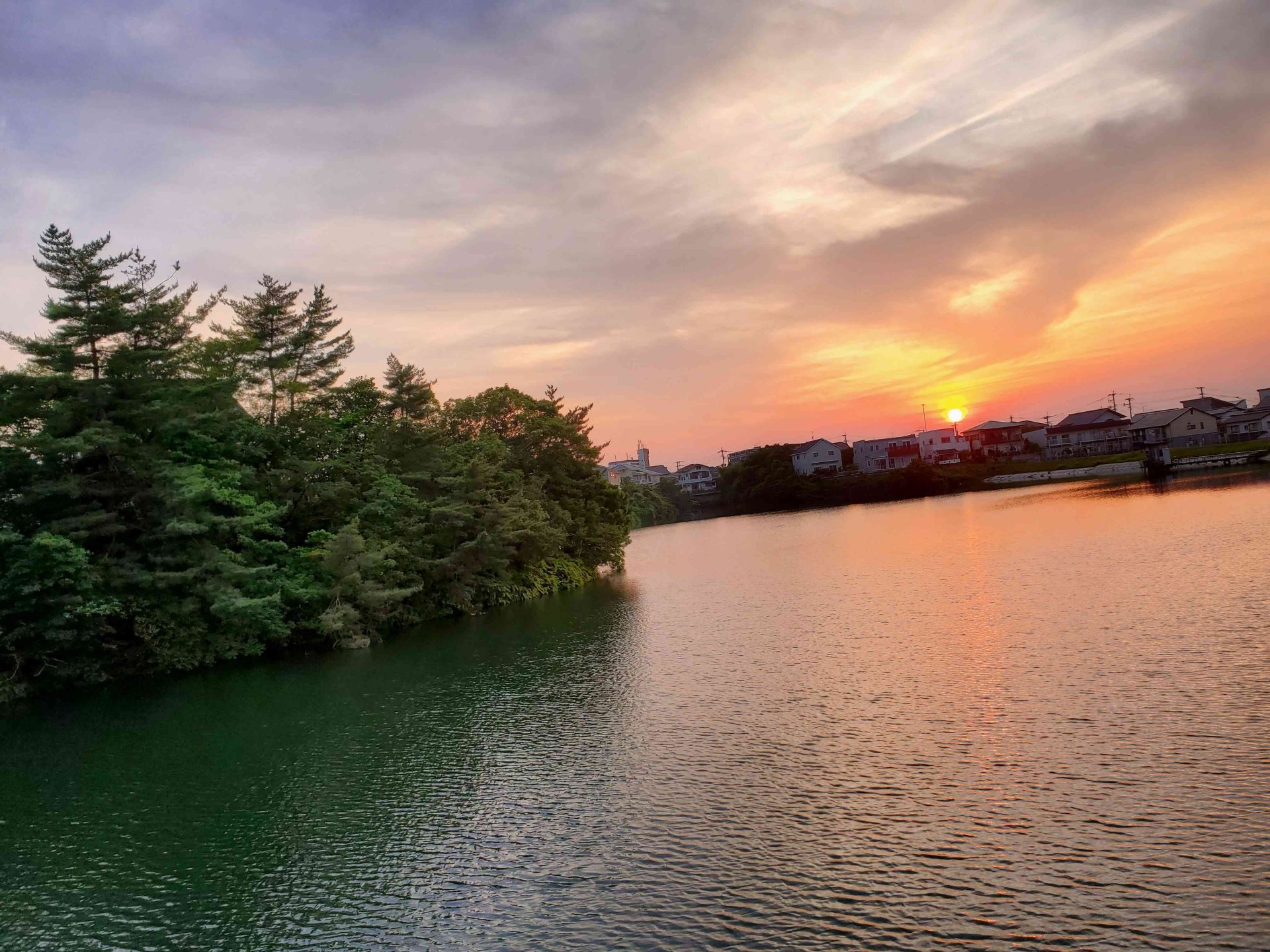 皮膚の「層」治療②　「肌育」の実際