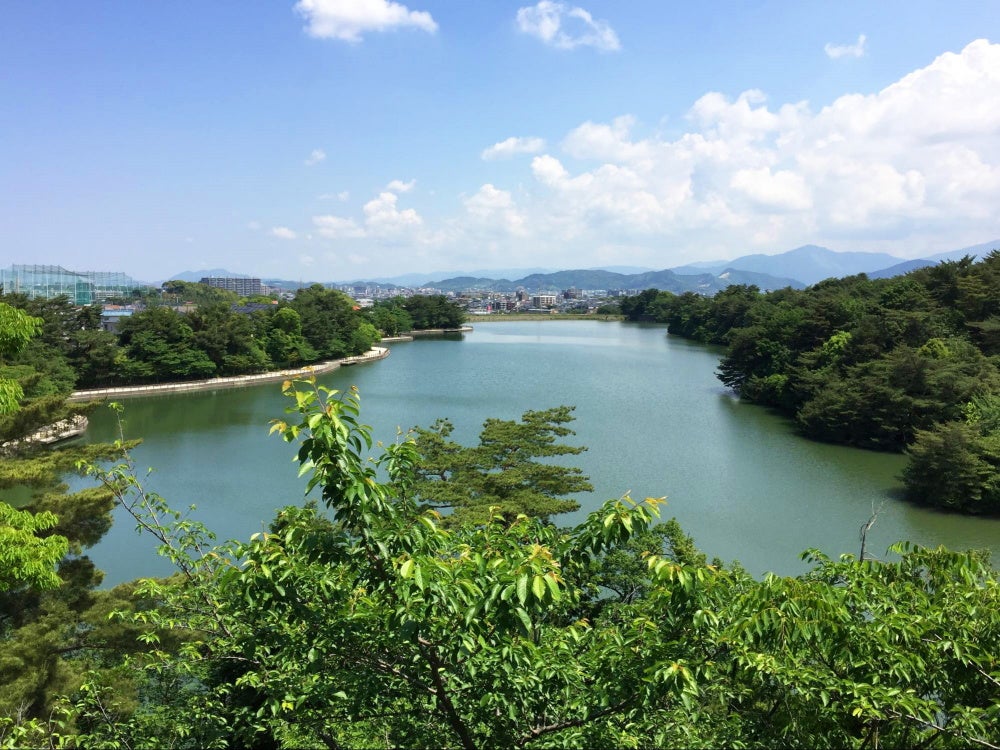 目の下のクマの治療①　手術？非手術？