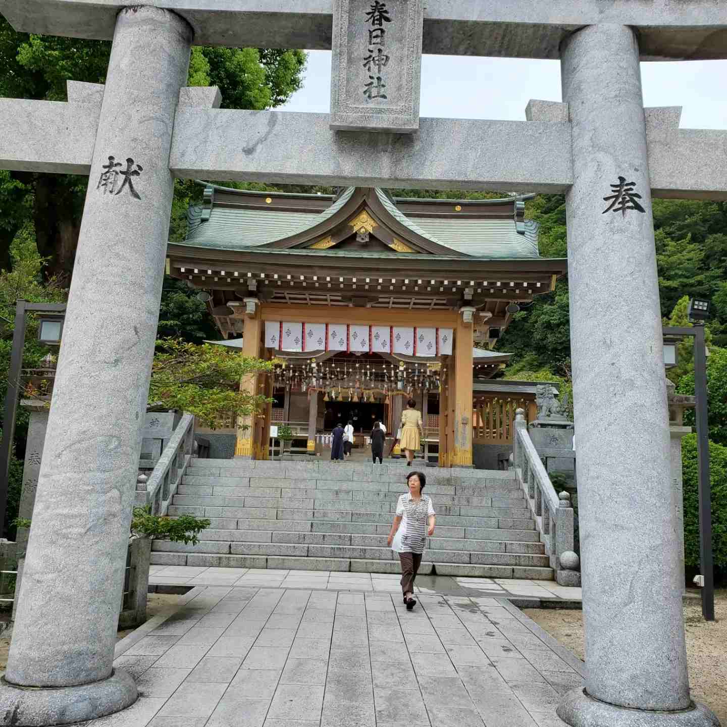 たるみの治療　瘦せ型ふくよか型タイプ別