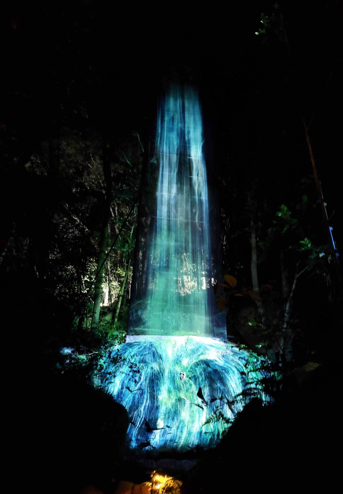 ダイエット②　食べていいもの悪いもの