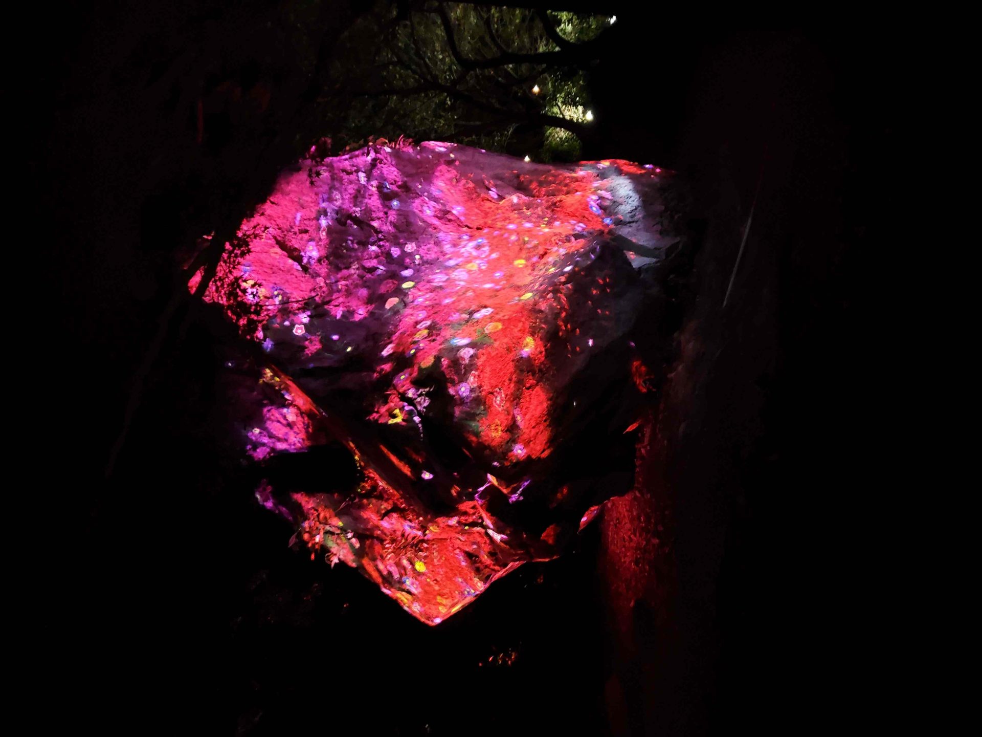 ダイエット③　肥満の人も栄養失調？