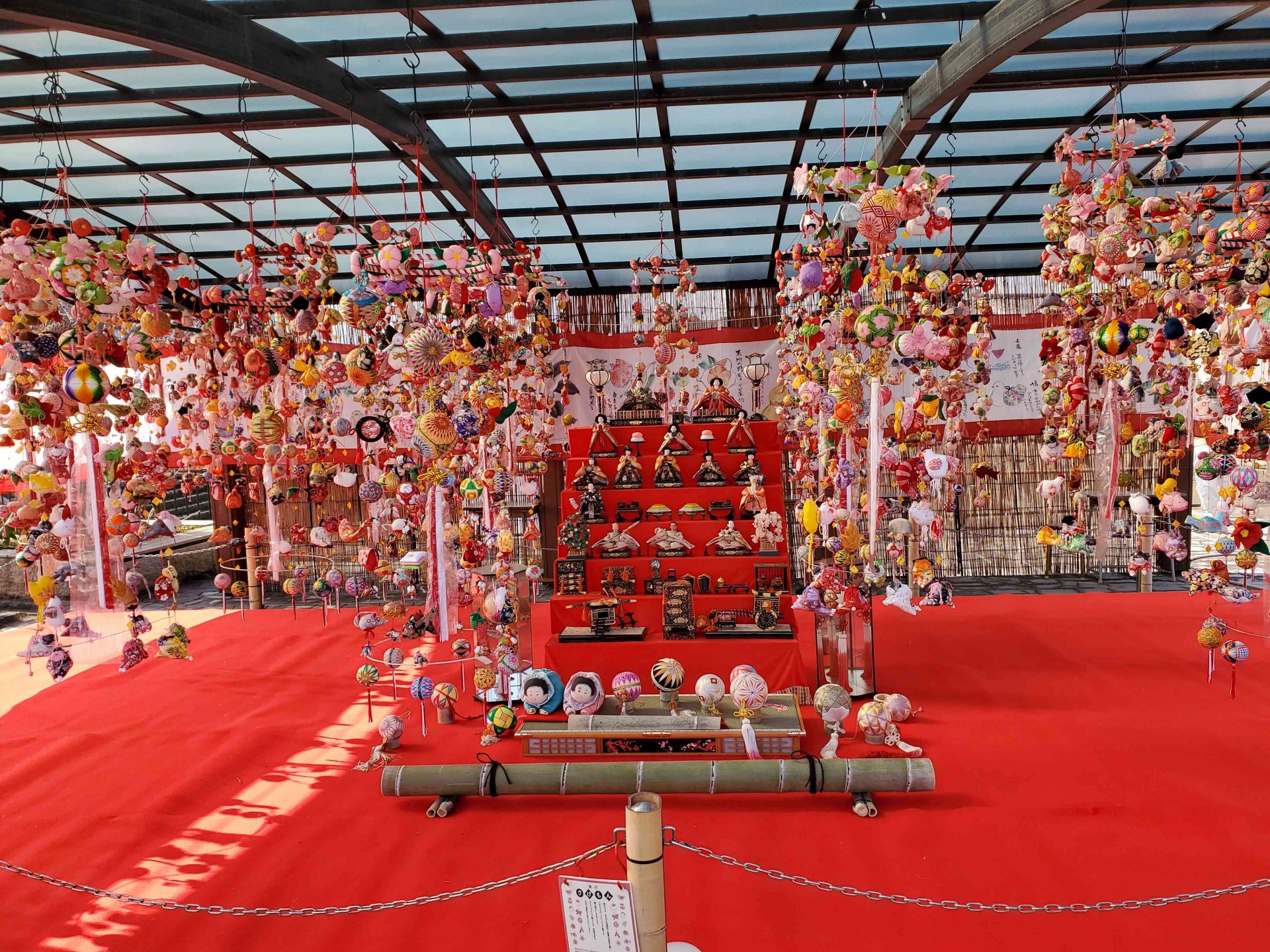 Er:YAGレーザーにはまった経緯