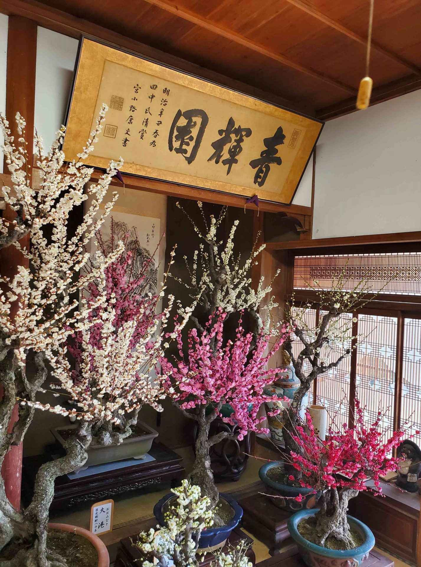 傷あとやニキビあと治療①　総論