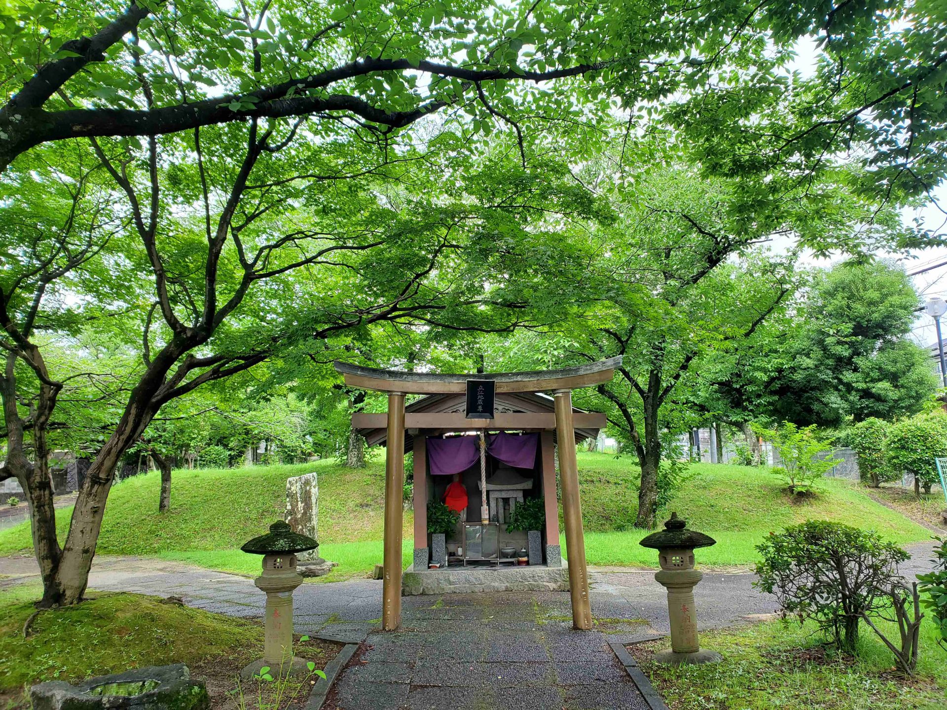 肌育①　痛くない守りの治療　メソナJ,超音波,イオン導入