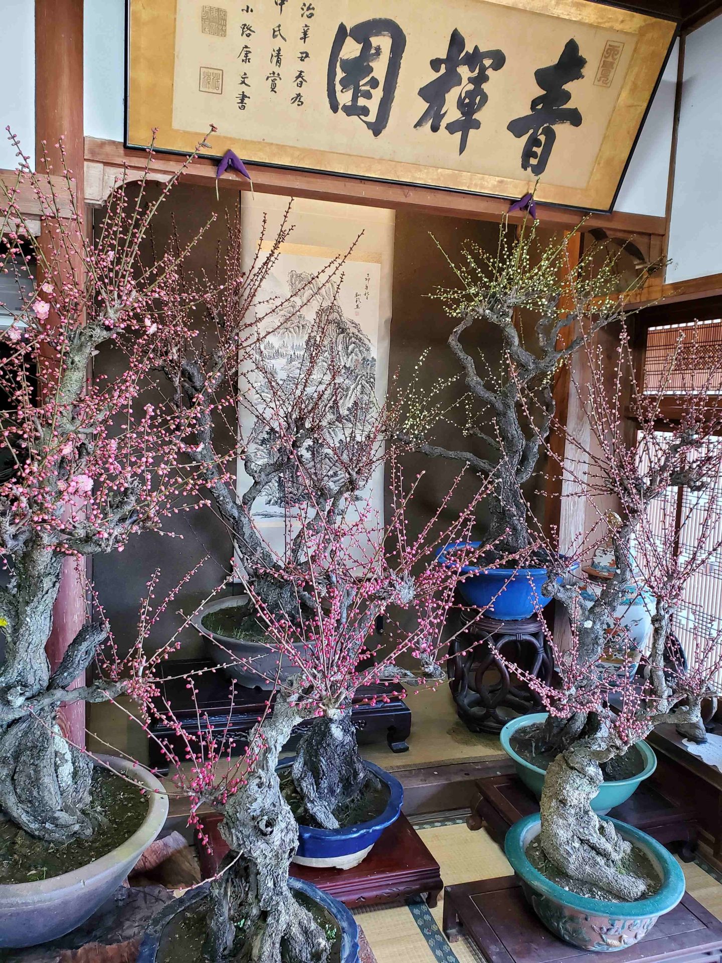 髪の毛のエイジングケア②　私が行うホームケア　栄養編