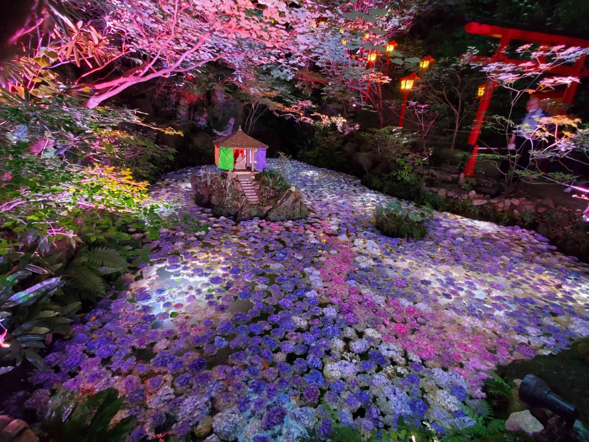 2025年6月は勉強の1か月でした①