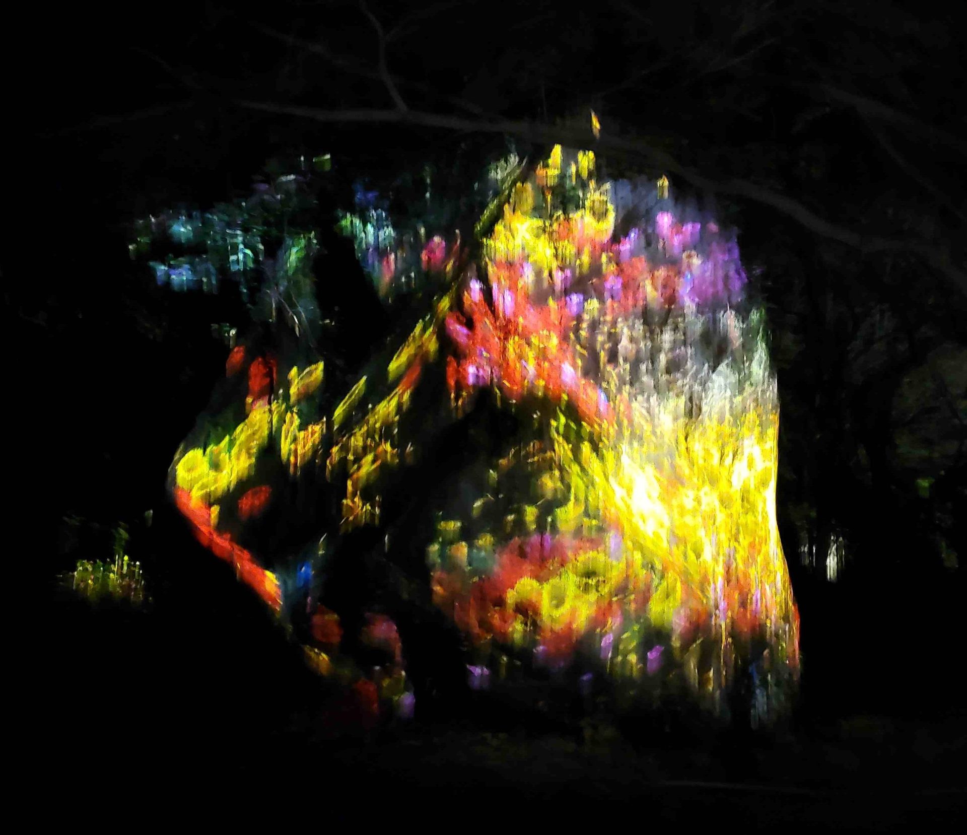 赤ら顔②　「酒さ」について　内服や施術編