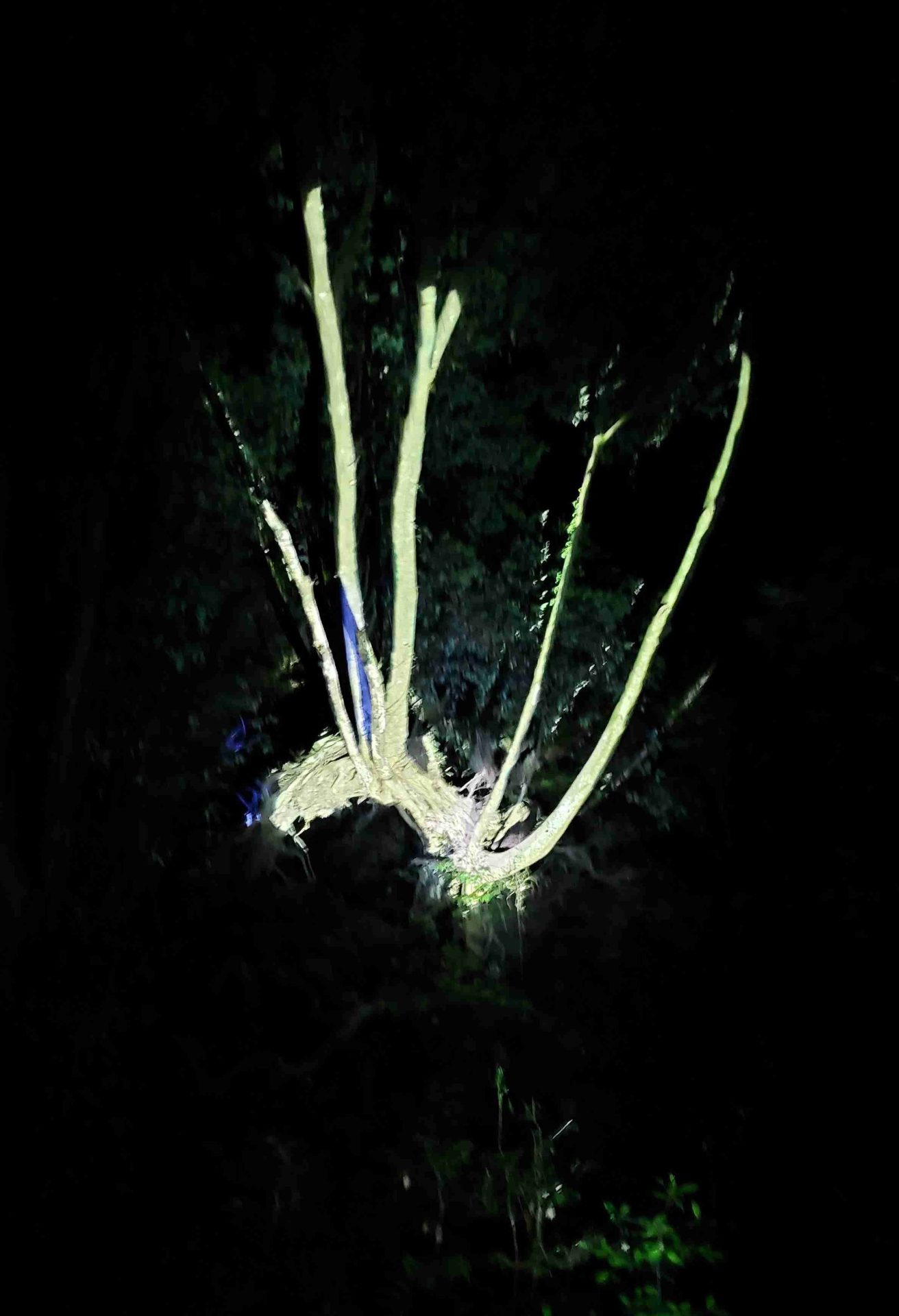 9周年を迎えました！変化するみやび②