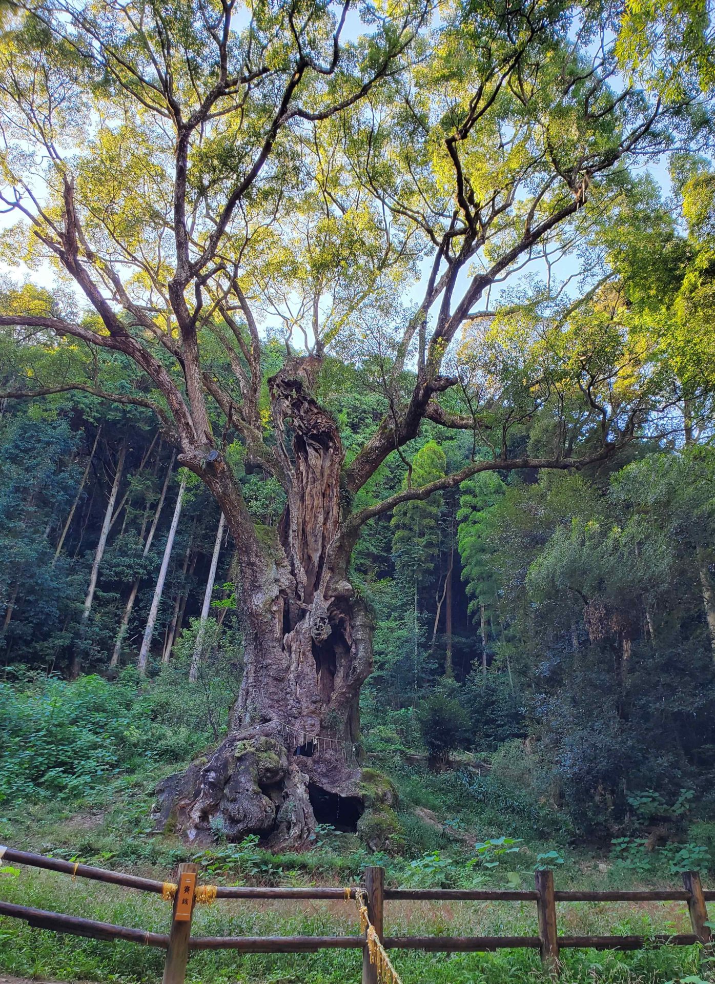 9周年を迎えました！変化するみやび③