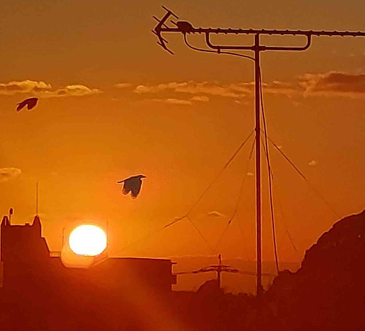 2026年もどうぞよろしくお願いします！